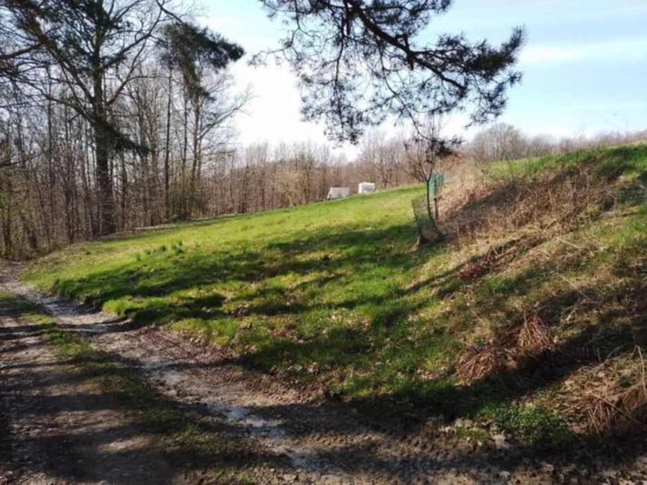 Działka rekreacyjna służąca jako miejsce ucieczkowe