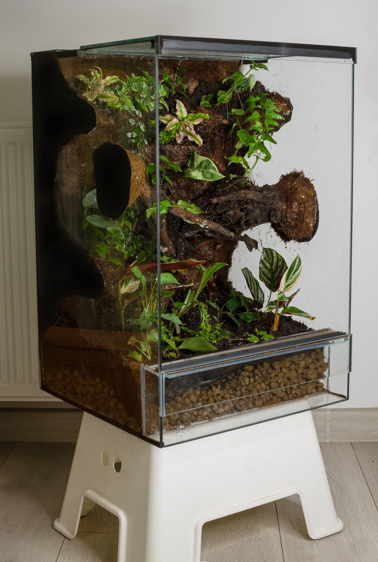 Terrarium tropikalne 40x40x60