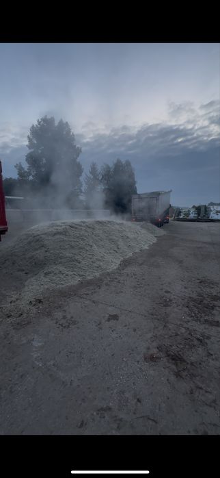 Wysłodki paszowe 25000 kg krowy mleczne polskie