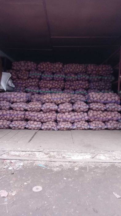 Прод товарну картоплю!