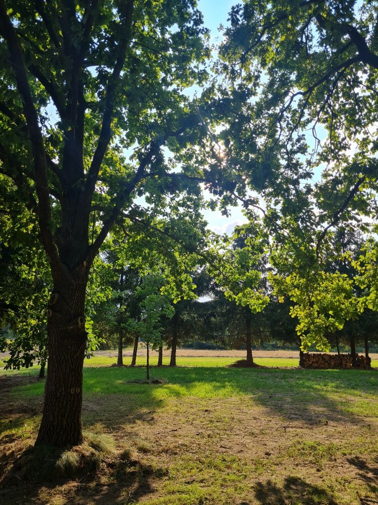 Sprzedam działkę budowlaną 1500m2