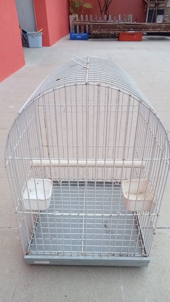 Gaiola para Caturras ou Pássaros desse tamanho