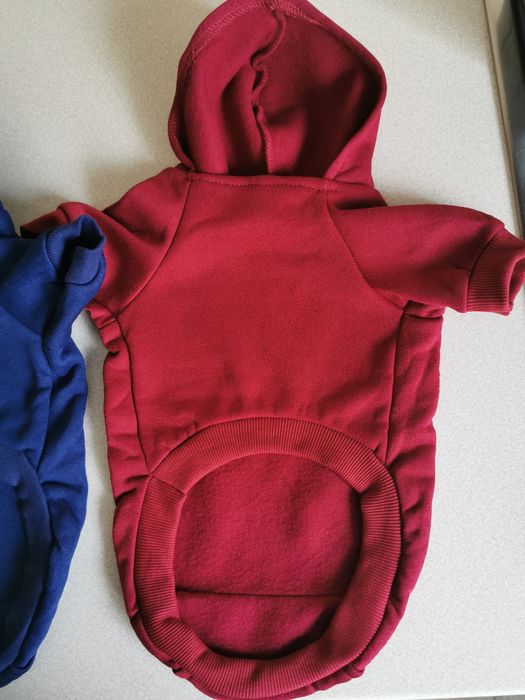 Ubranka dla małego psa