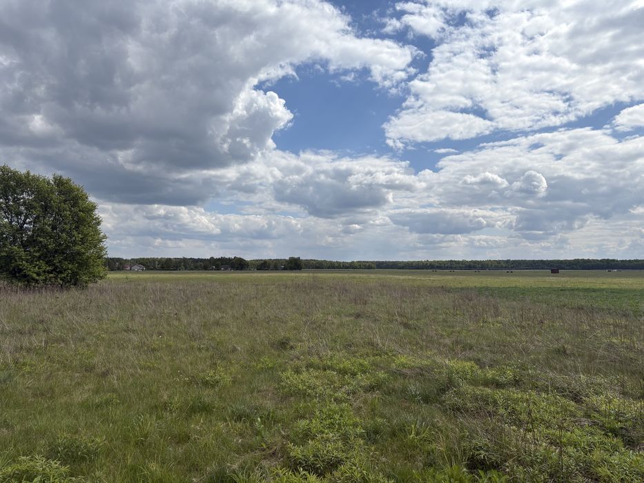 Działka budowlana 3089 m² – Bronisławów, Gmina Głowno
