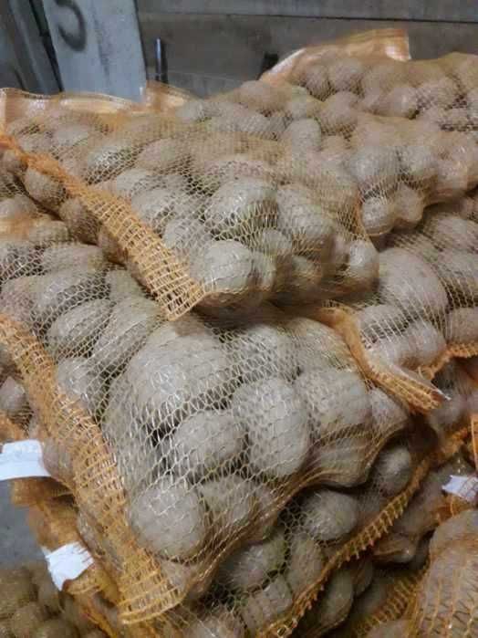 Ziemniaki jadalne Jurek - bardzo smaczne!