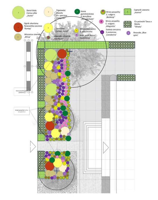 Projektowanie ogrodów, rabat, modernizacja ogrodu
