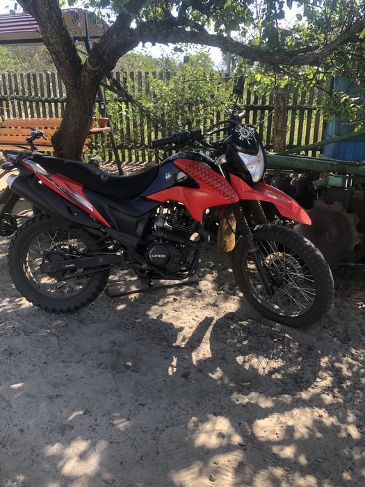 Продам лонсін прус