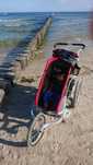 Przyczepka rowerowa dla dziecka - THULE Chariot Cougar 1 - czerwona