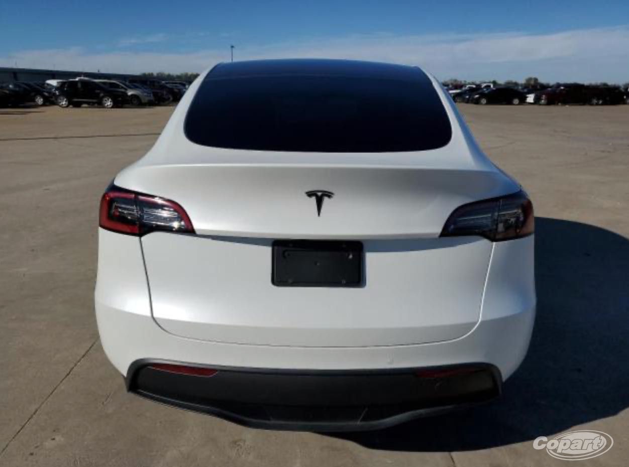 2021 TESLA MODEL Y під пригін США