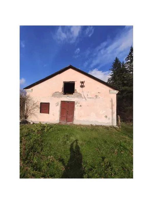 Ветлікарня, 834,8 кв. м, c-ще Путила, вул. Українська, 19