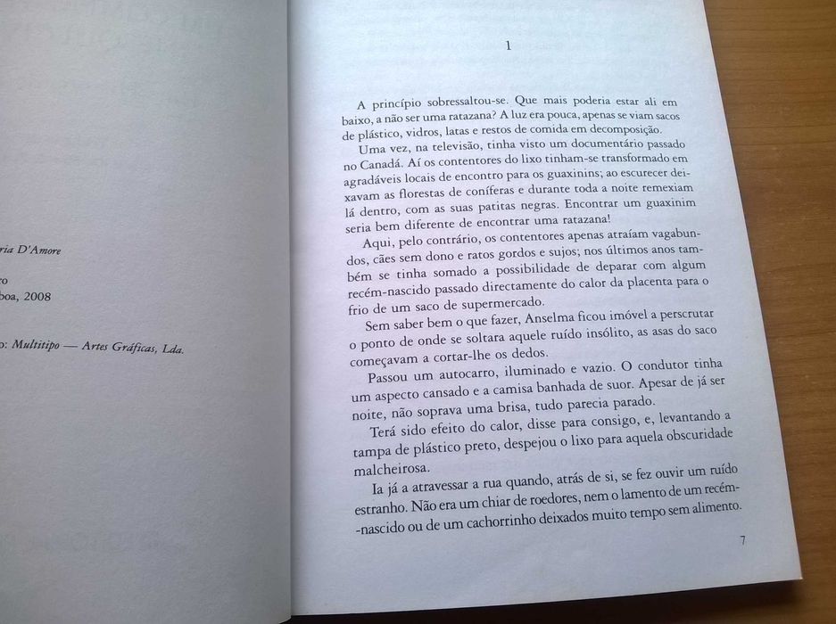 Um Companheiro Inesquecível - Susanna Tamaro