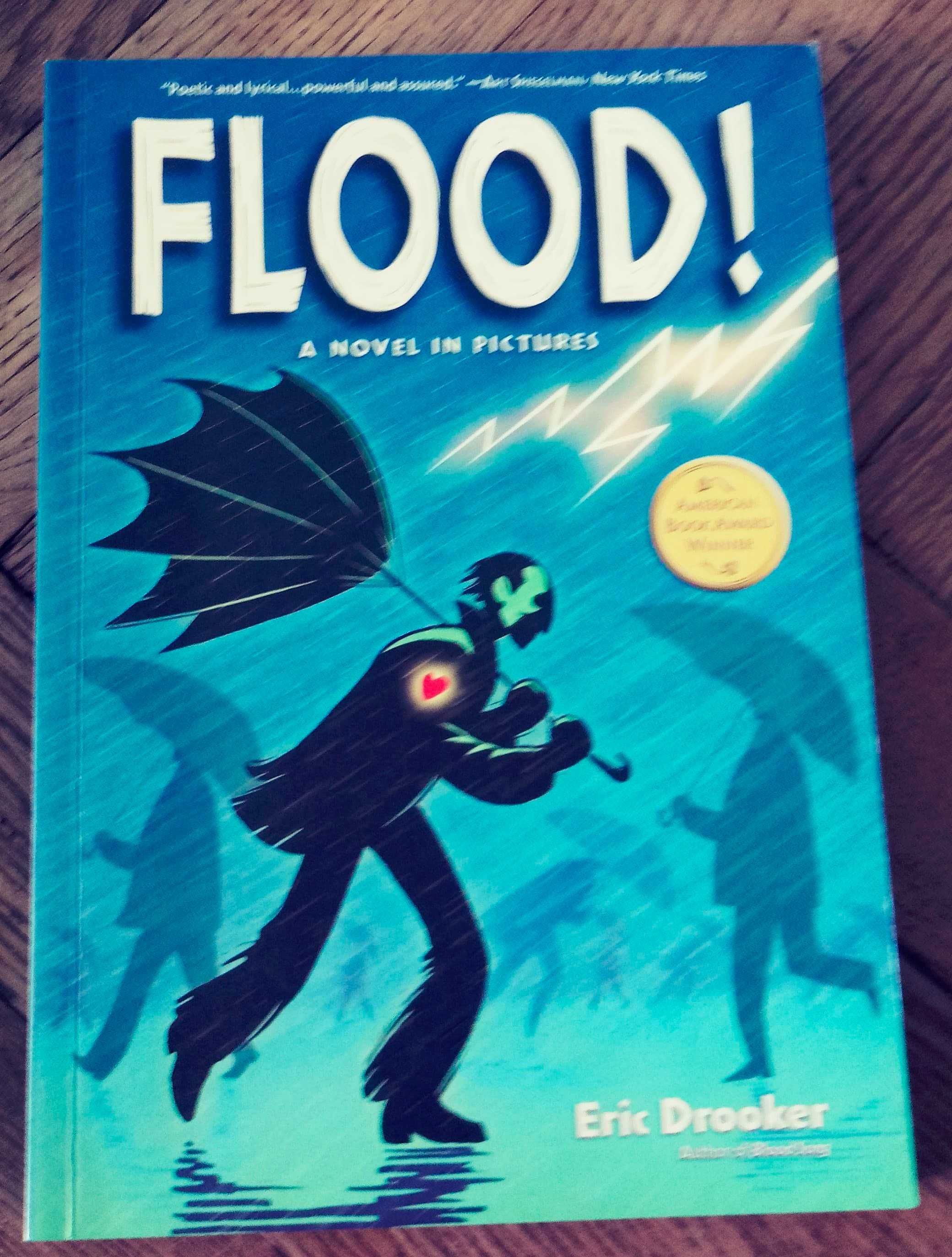 Eric Drooker. Flood A novel in pictures