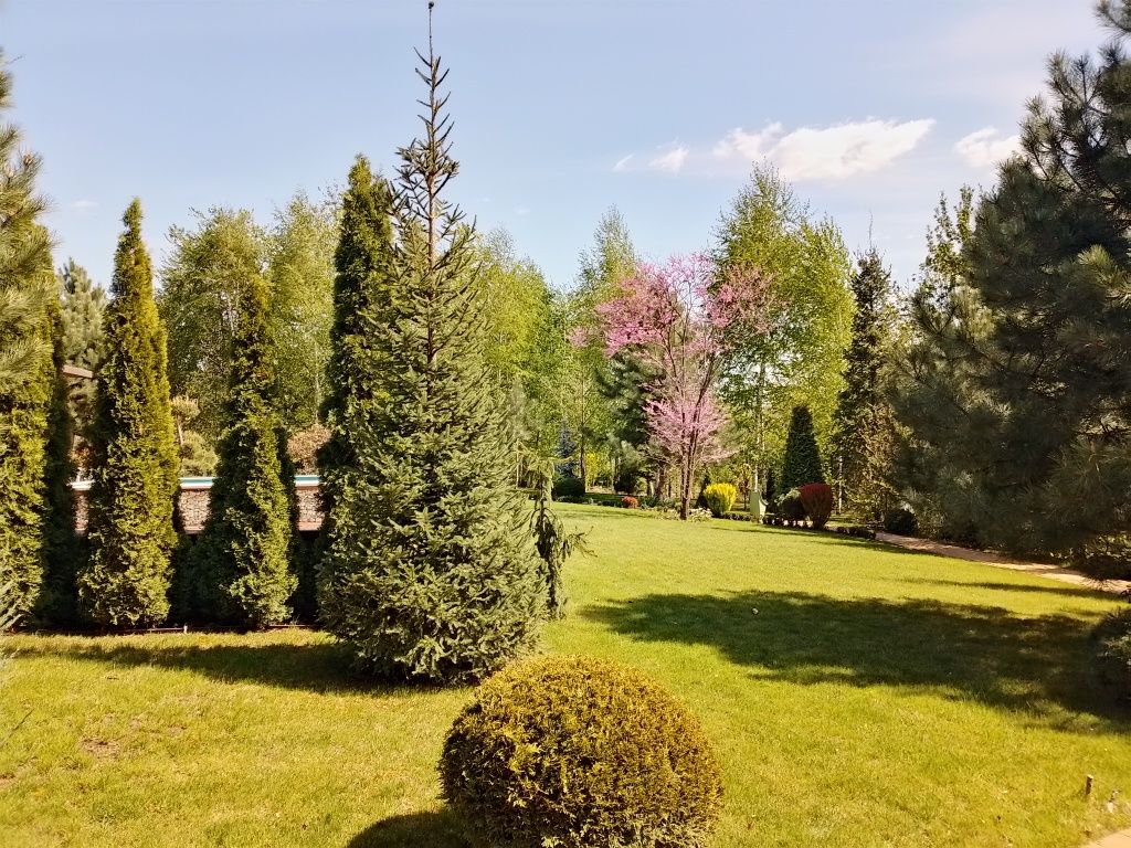 Услуги садовника