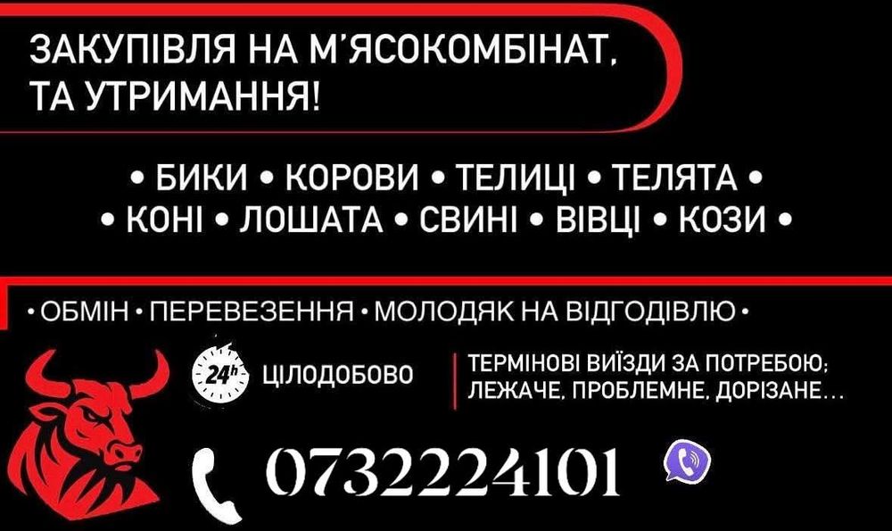 Продам теличку від доброї корови