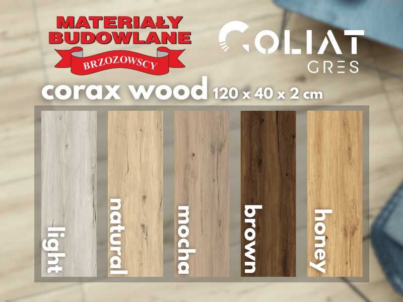 Płyta gresowa ceramiczna GOLIAT CORAX na taras 120x40x2 drewnopodobna