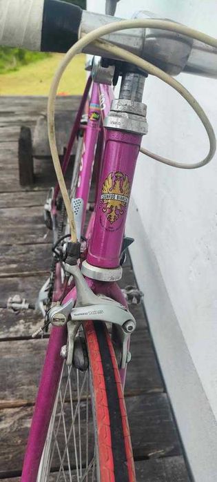 the pure pleasure of cycling a Bianchi