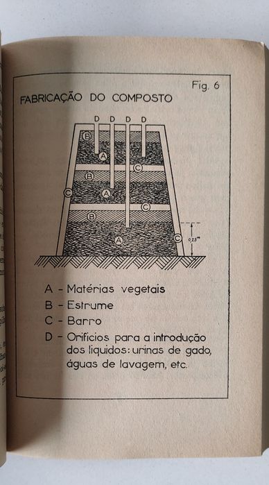 A Horta, Francisco Dias Antunes