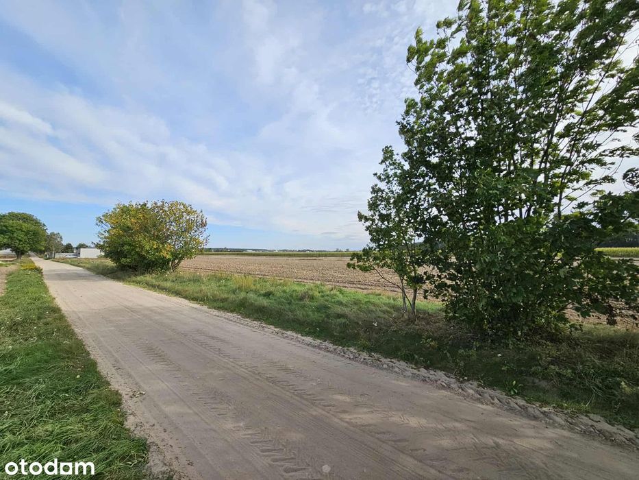 Działki ok 300m²  w spokojnej okolicy / Słocin, k. Grodziska Wlkp