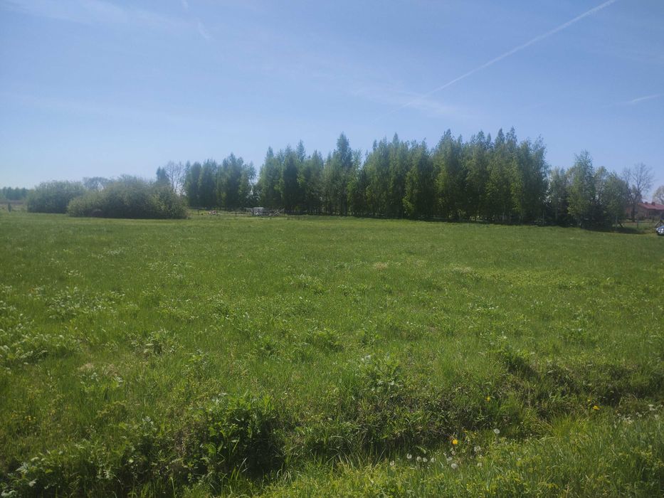 Sprzedam działkę w Tarnobrzegu, wydane warunki zabudowy.