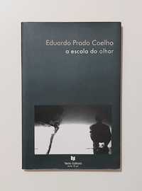 A Escala do Olhar - Eduardo Prado Coelho