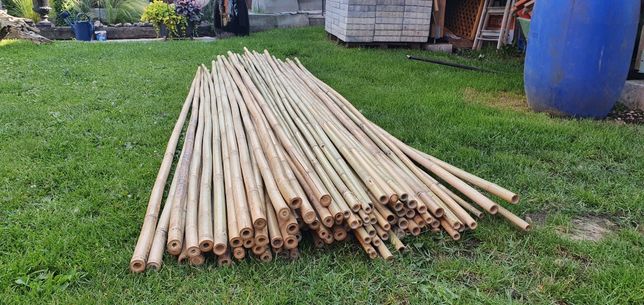 Tyczka bambusowa 2,95 m wysokości, średnica 2.6cm-2,8cm do ogrodu