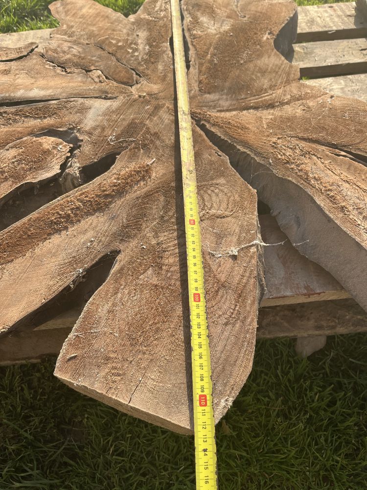 Orzech plaster korzeń wymiar 163x112cm   gr6 cm