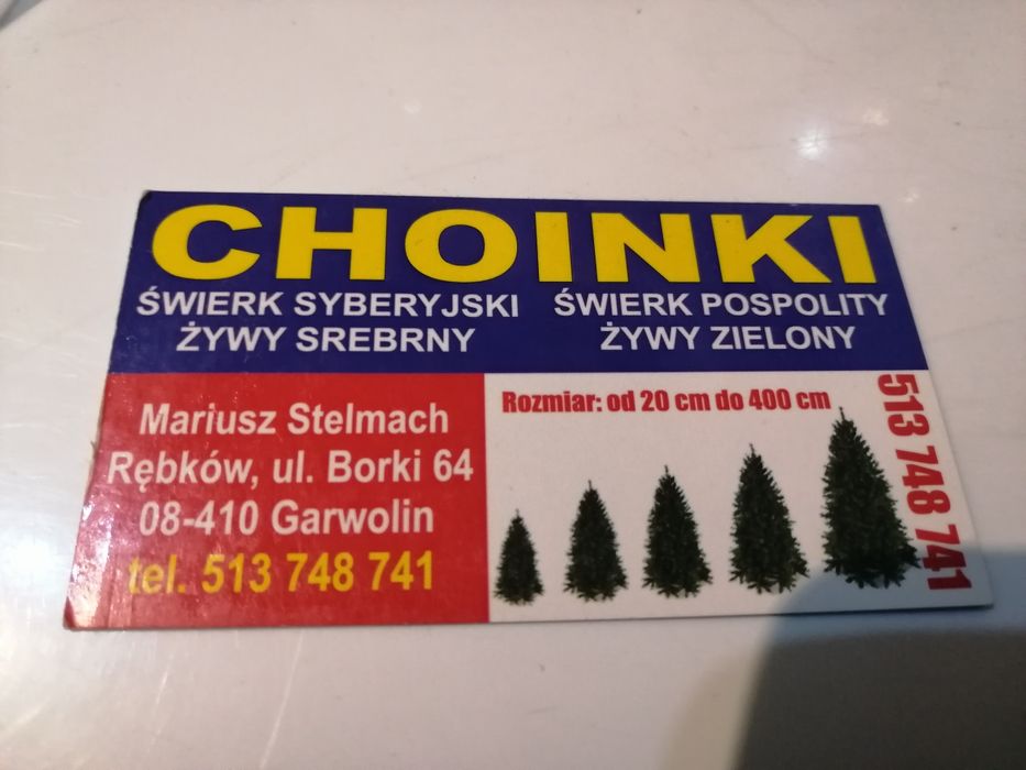 Choinki świerki na święta