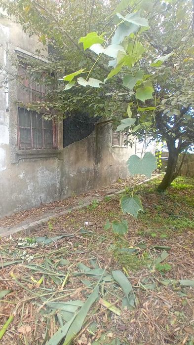 Quinta ao metro Nasoni