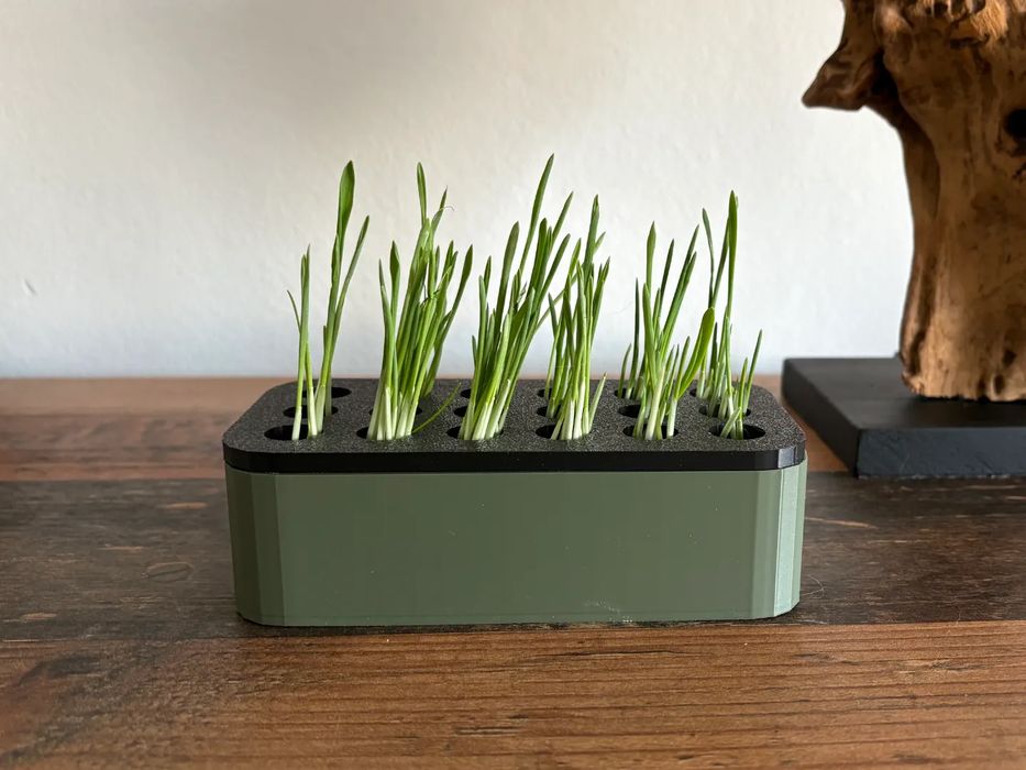 Vaso para Erva Gateira - Fácil de Usar