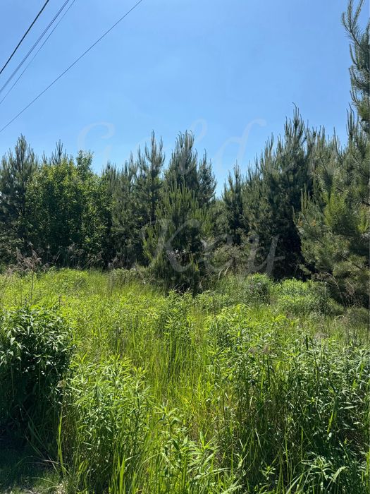 Продам Земельну Ділянку 10сотих,ЛІС,ОЗЕРО,середСОСЕН,закрита територія