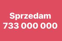Złoty numer 733_000_000_