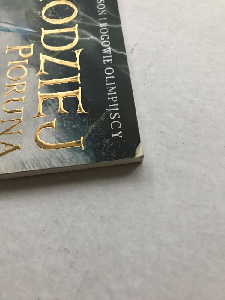Percy Jackson i bogowie olimpijscy - Zlodziej pioruna - Rick Riordan