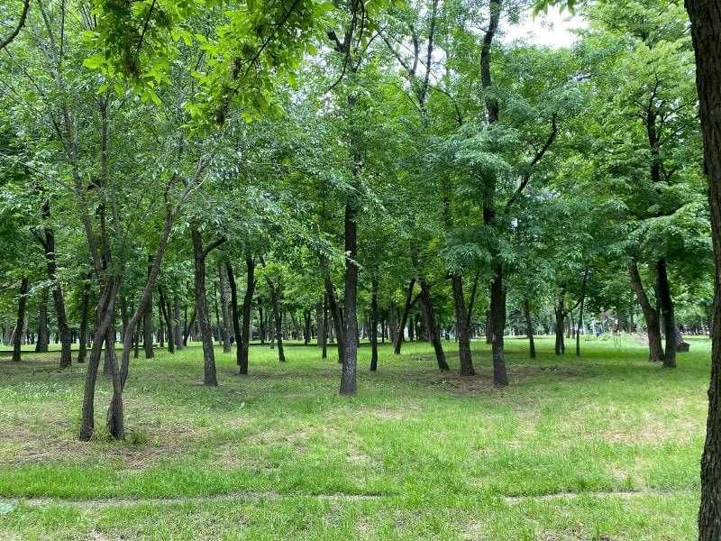 Продаж квартири з терасою у Еко комплексі ЖК Forest Hill біля парку