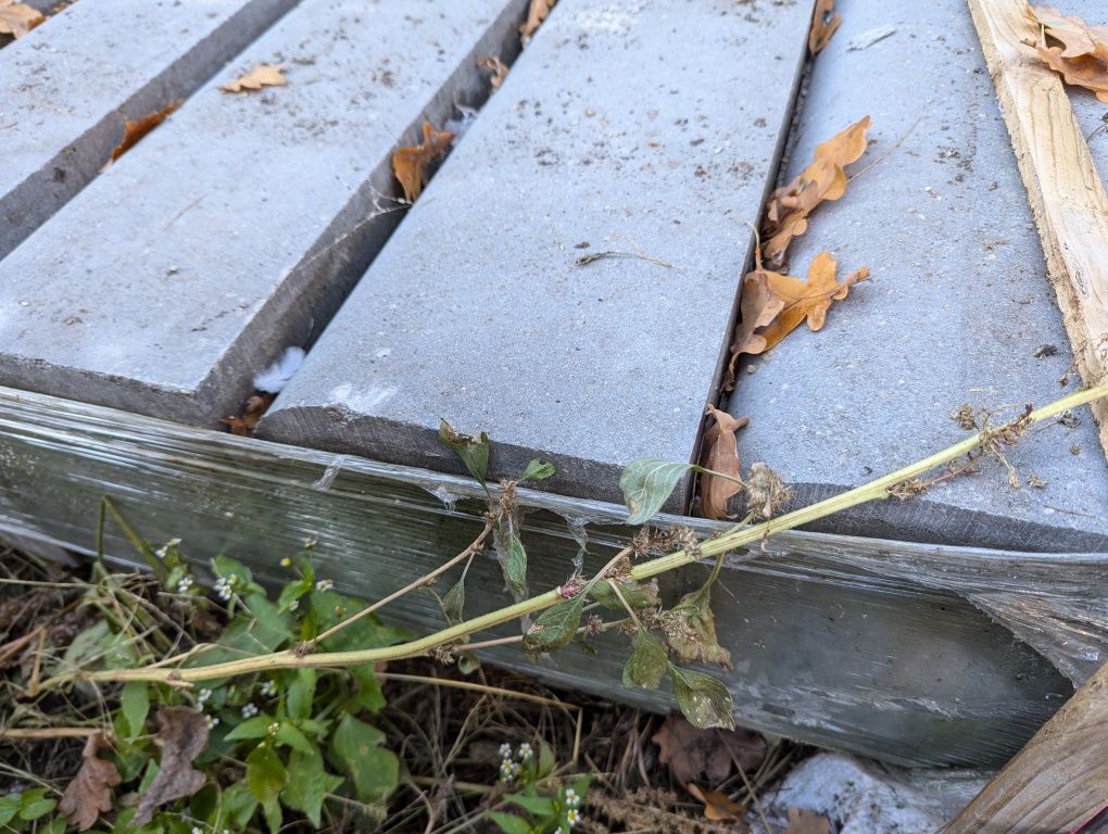 Krawężniki najazdowe 100 cm
