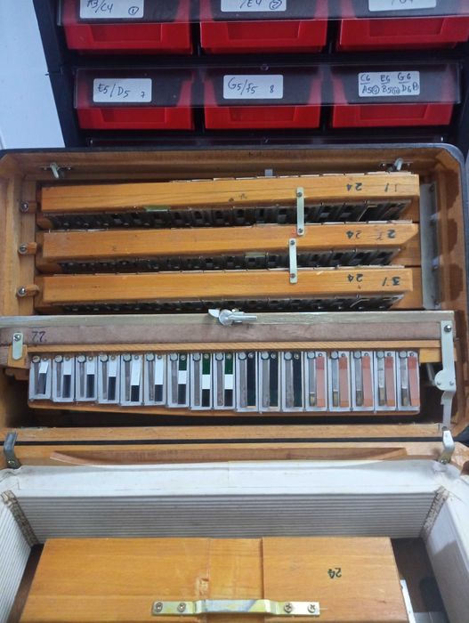 Hohner Morino V tonalidade Do Fa