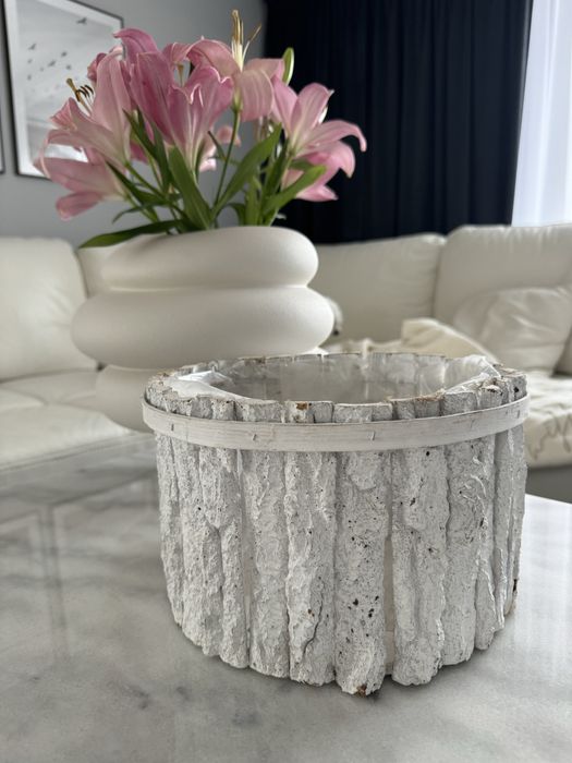 Dobiczka duża z kory w białym kolorze