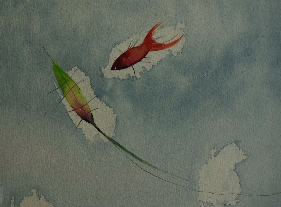 Aguarela original de Carlos Marques. Peixe e folha dançando.