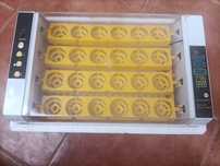 Chocadeira Automática 24 ovos