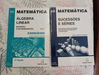 Coleção Matemática - Manuel Alberto M. Ferreira