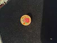 PIN Pirilampo 2015