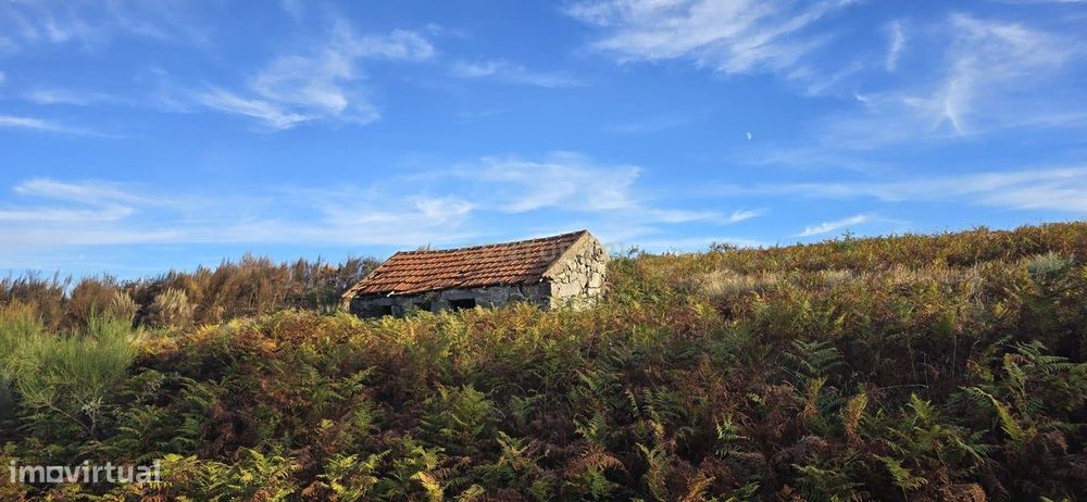 Terreno de produção agrícola em Gestaçô, Baião