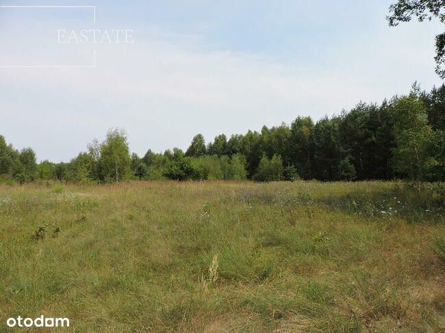 Działka rolna z pozwoleniem na budowę