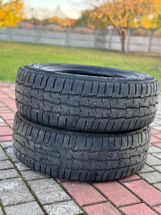 205/65/R16C Michelin Agilis Alpin (пара)