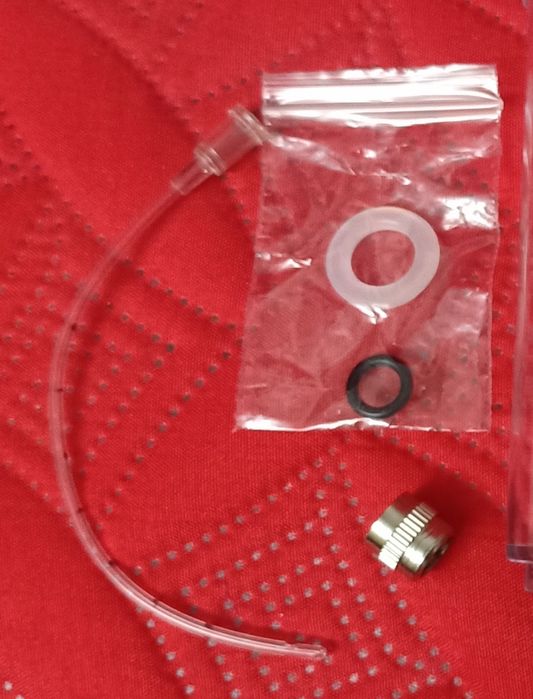 Pássaro aves animais criações