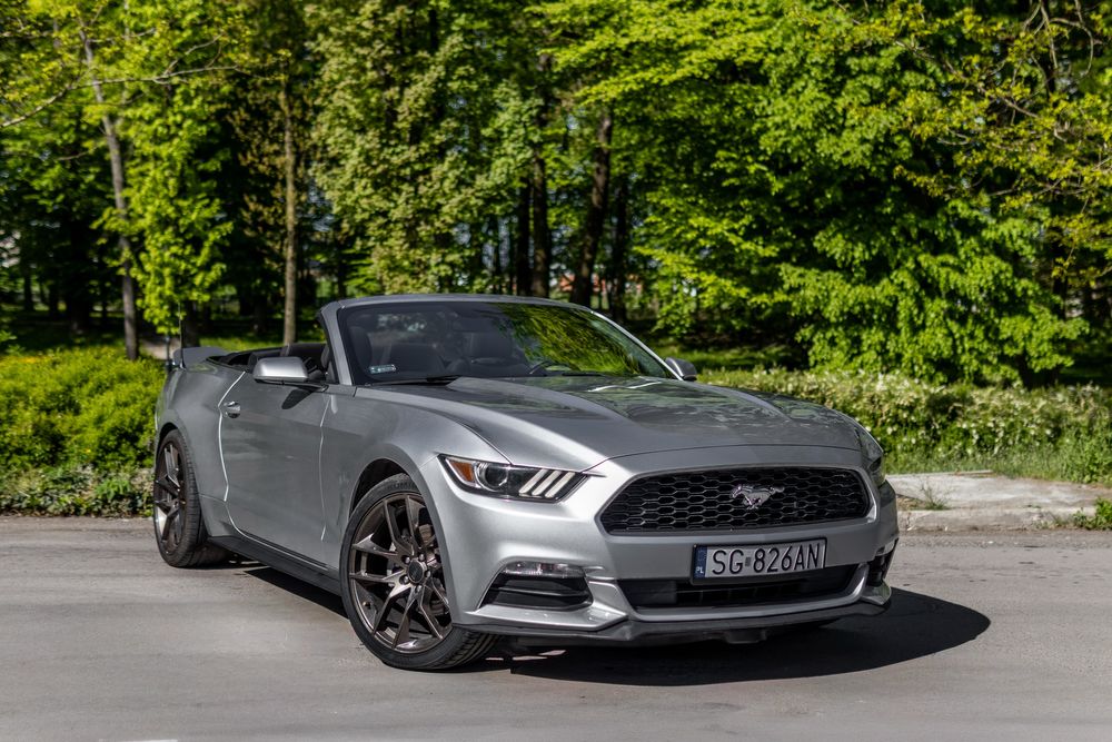 Auto do ślubu na wesele Mustang Cabrio Mercedes Camaro BMW Wynajem
