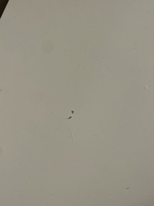 Secretária IKEA branca simples Lagkapten/ Adils