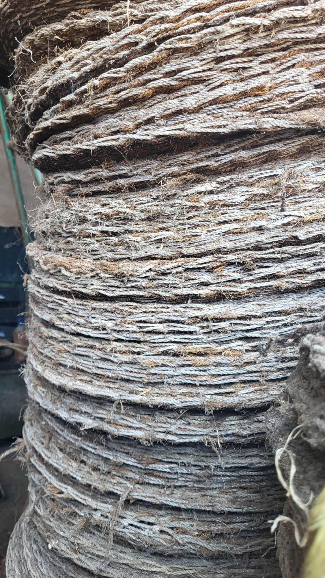 Capachos , Ceras de  um antigo lagar de azeite          São umas 500