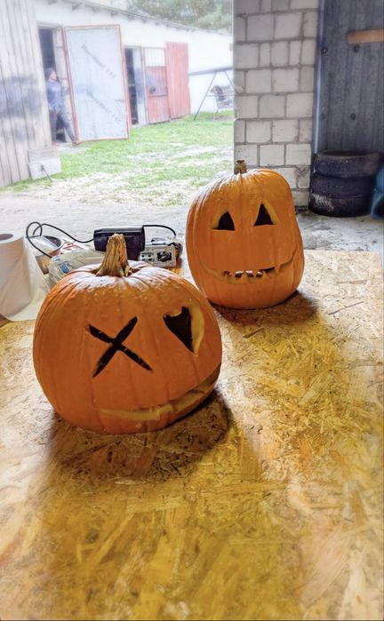 Dynie halloween na zamówienie