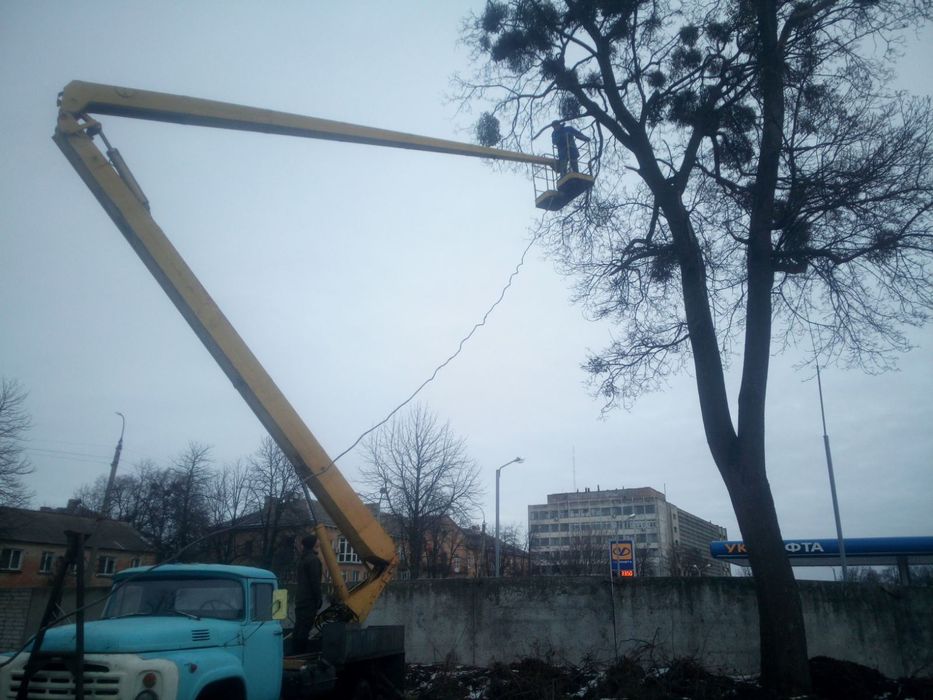 Обрезка деревьев