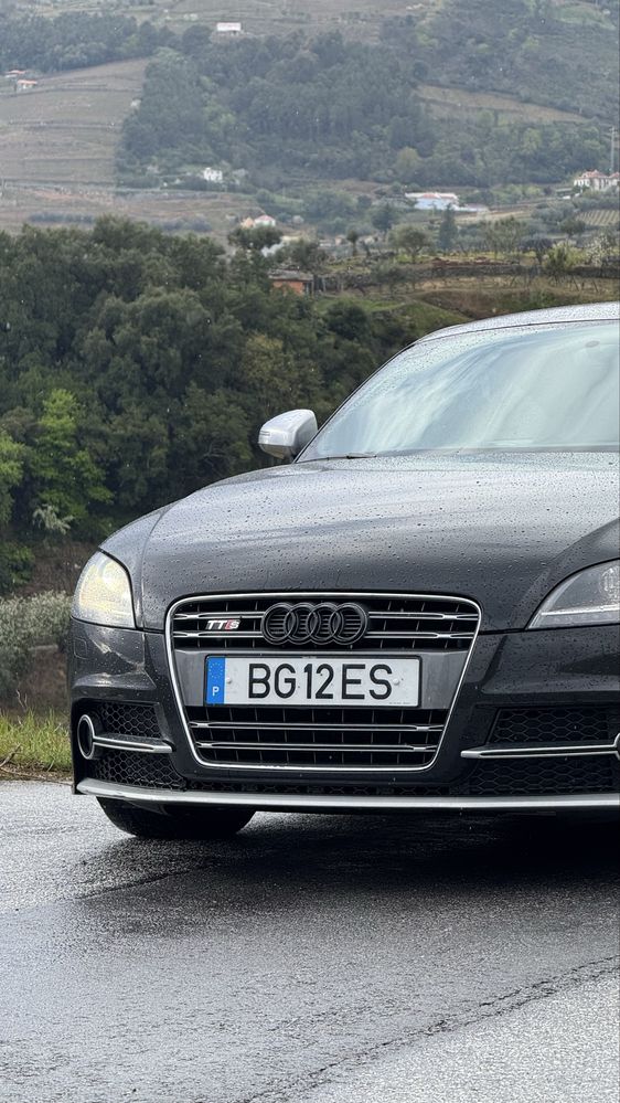 Audi TTS 8j 2009
